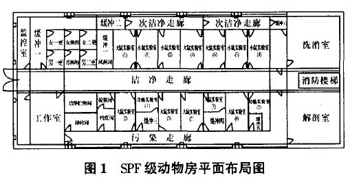 動物房潔凈工程設計方案